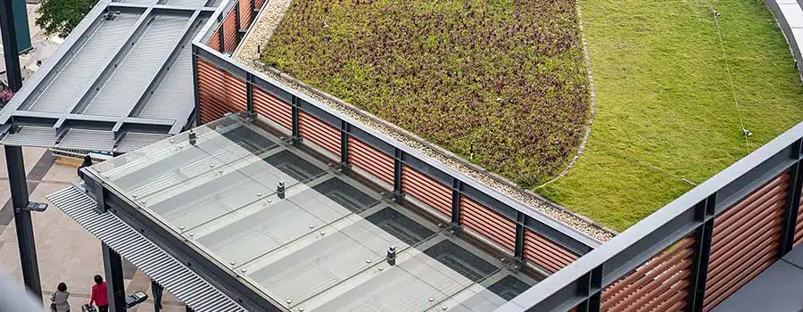 hero_green_roofs_future