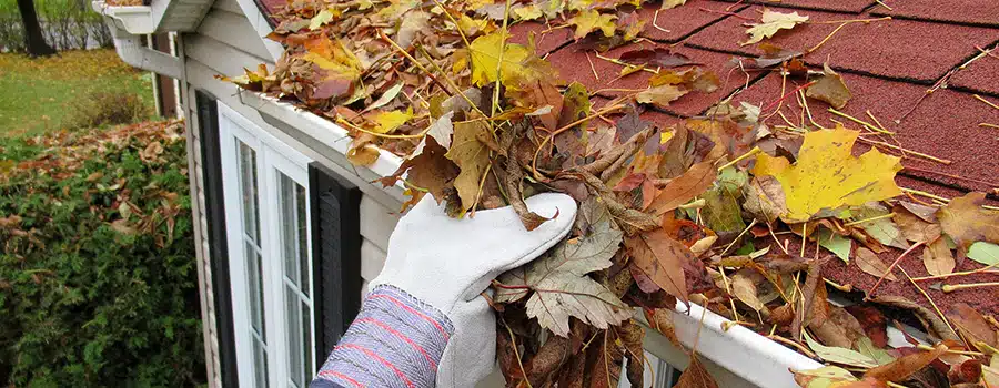 Nature, " Home Maintenance, Clearing Gutters "