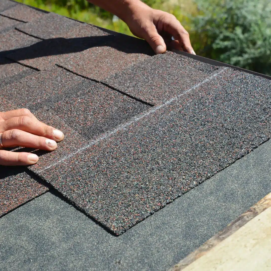 Roofer's hands positioning an architectural asphalt shingle during a roof installation.